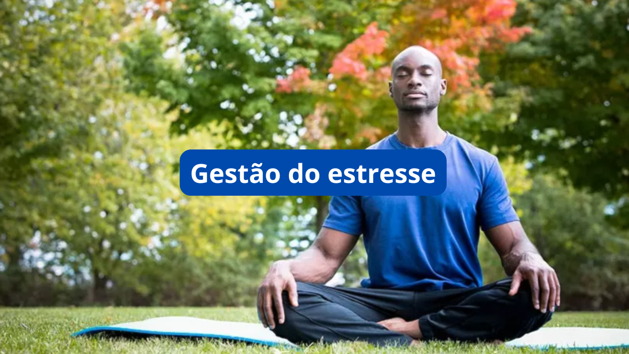Como Controlar o Estresse, Melhorar a Saúde Emocional e Manter o Foco, Mesmo nos Dias Mais Corridos