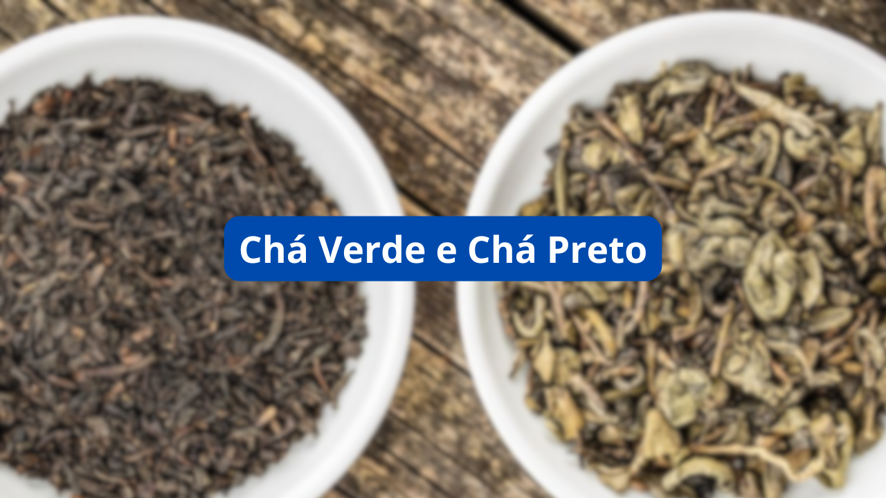 Chá Verde ou Chá Preto: Qual Escolher para Aumentar o Foco?